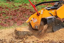 Best Storm Damage Tree Cleanup  in Cedar Hill, TX