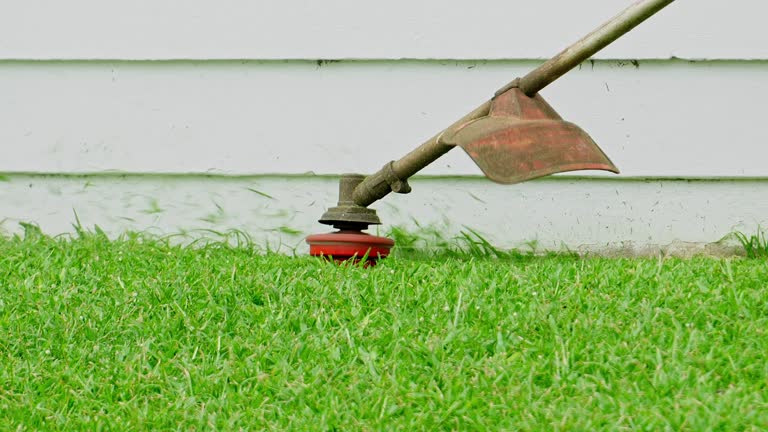 Best Lawn Irrigation Installation and Maintenance  in Cedar Hill, TX